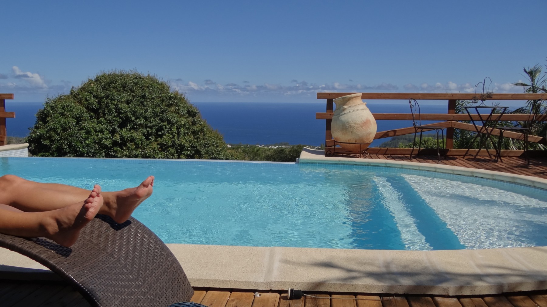 La Plantation Côté Sud Sauvage